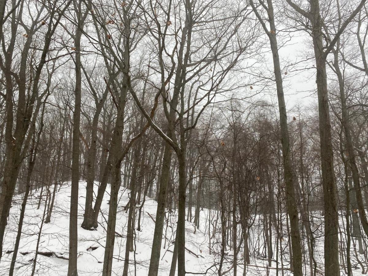 The Sanctuary At Deer Dune , 索格塔克 外观 照片